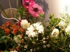 Bloemen stilleven