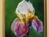 Olieverf iris met houten lijst