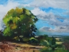 Olieverf schilderij te koop