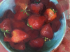 olieverf-schilderij-Aardbeien-in-een-kom  III (Verkocht) olieverf-schilderij-Aardbeien-in-een-kom  III (Verkocht)