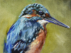 Olieverf-schilderij-IJsvogel-10x15-cm (Verkocht)